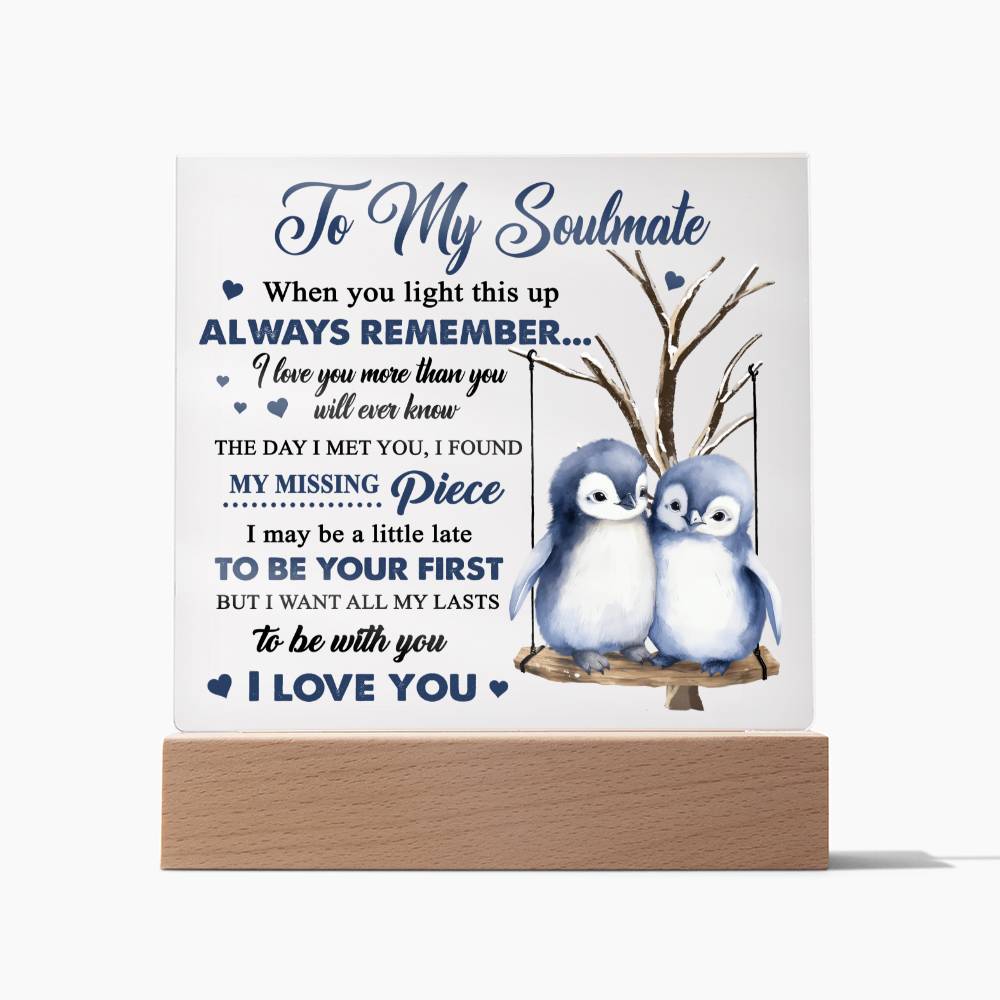 To My Soulmate - I love you more than you will ever know - LED Acrylic Plaque.