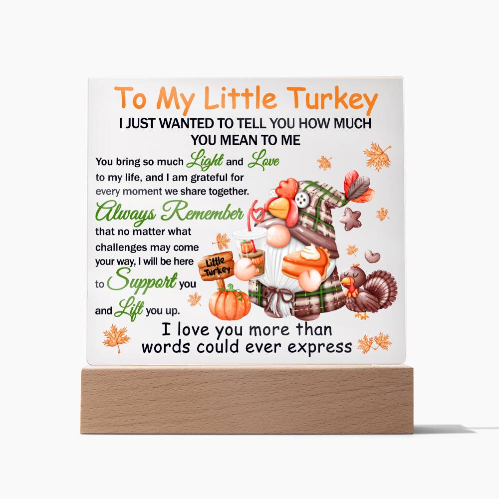 Daughter gifts - To my little turkey - LED Acrylic Plaque.