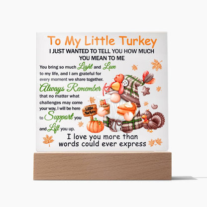 Daughter gifts - To my little turkey - LED Acrylic Plaque.