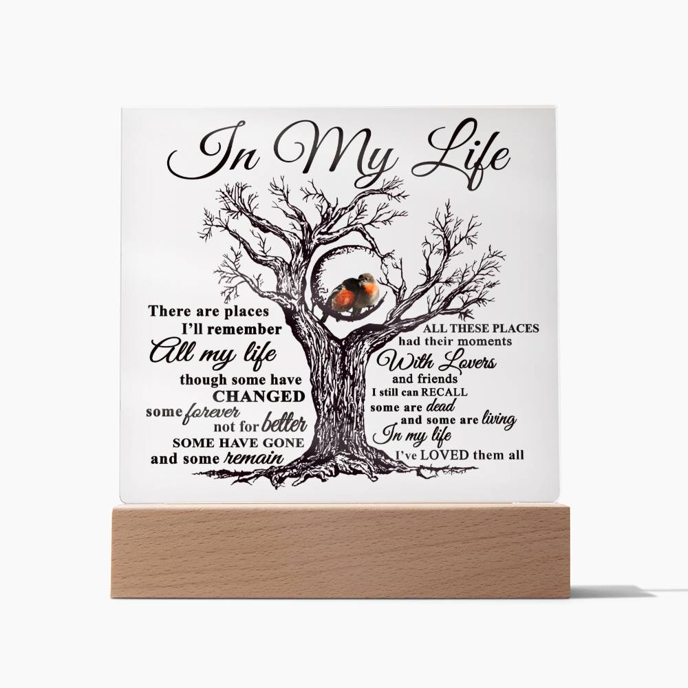 Mom gifts - In my Life Plaque - LED Acrylic Plaque.