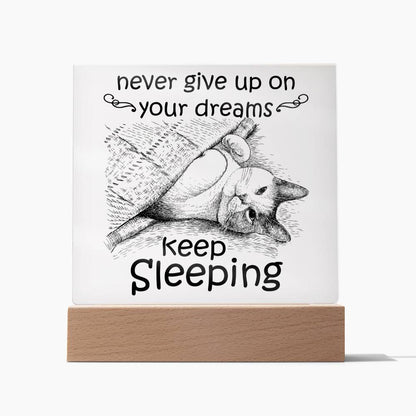 Daughter gifts - Never give up on your dreams Keep Sleeping - LED Acrylic Plaque.