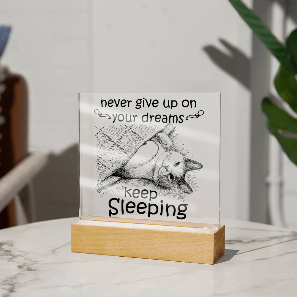 Daughter gifts - Never give up on your dreams Keep Sleeping - LED Acrylic Plaque.