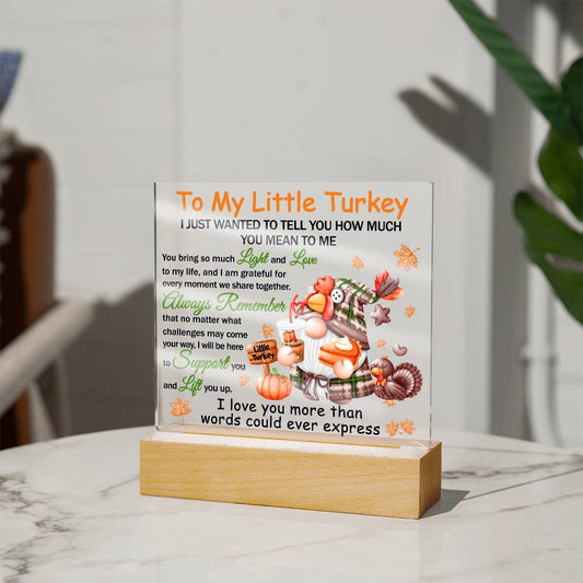 Daughter gifts - To my little turkey - LED Acrylic Plaque.