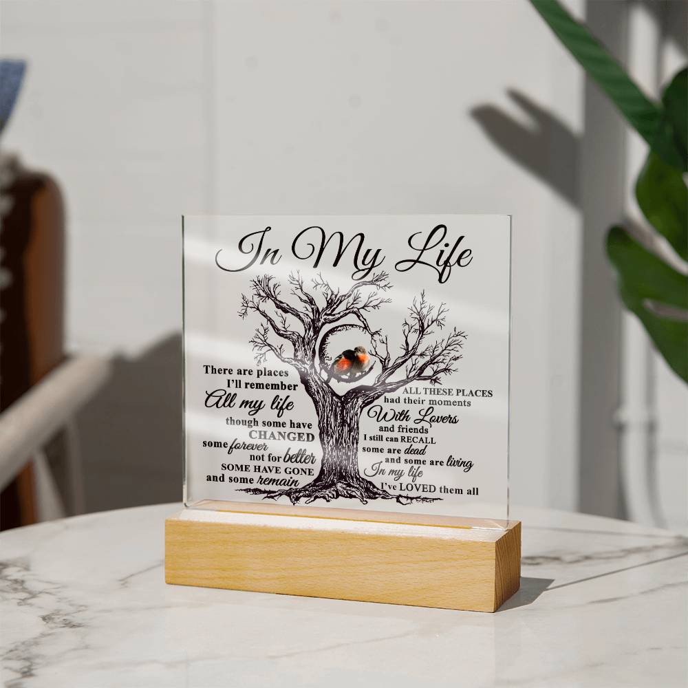 Mom gifts - In my Life Plaque - LED Acrylic Plaque.