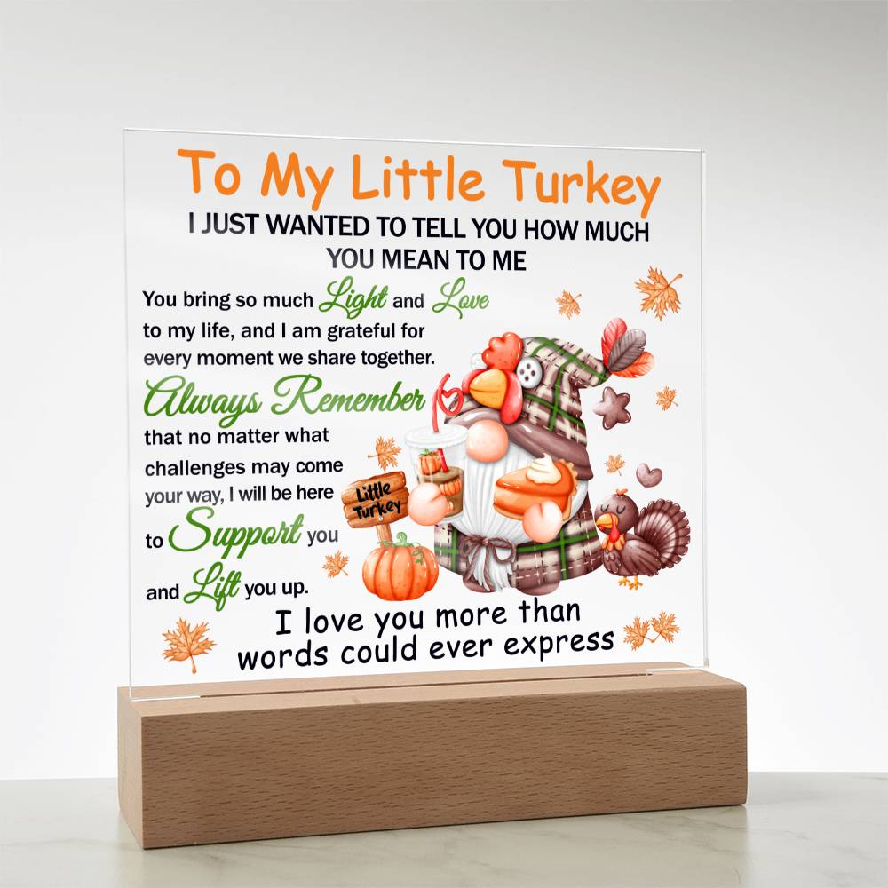 Daughter gifts - To my little turkey - LED Acrylic Plaque.