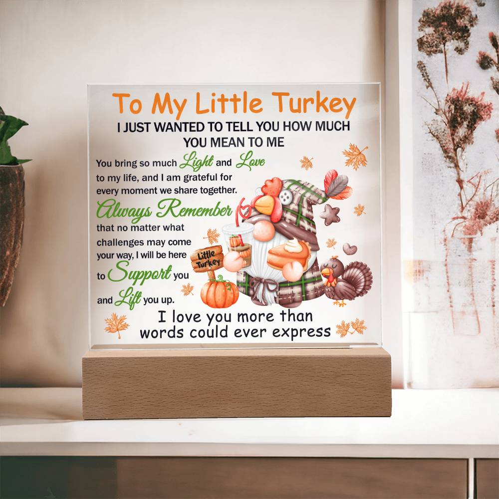 Daughter gifts - To my little turkey - LED Acrylic Plaque.