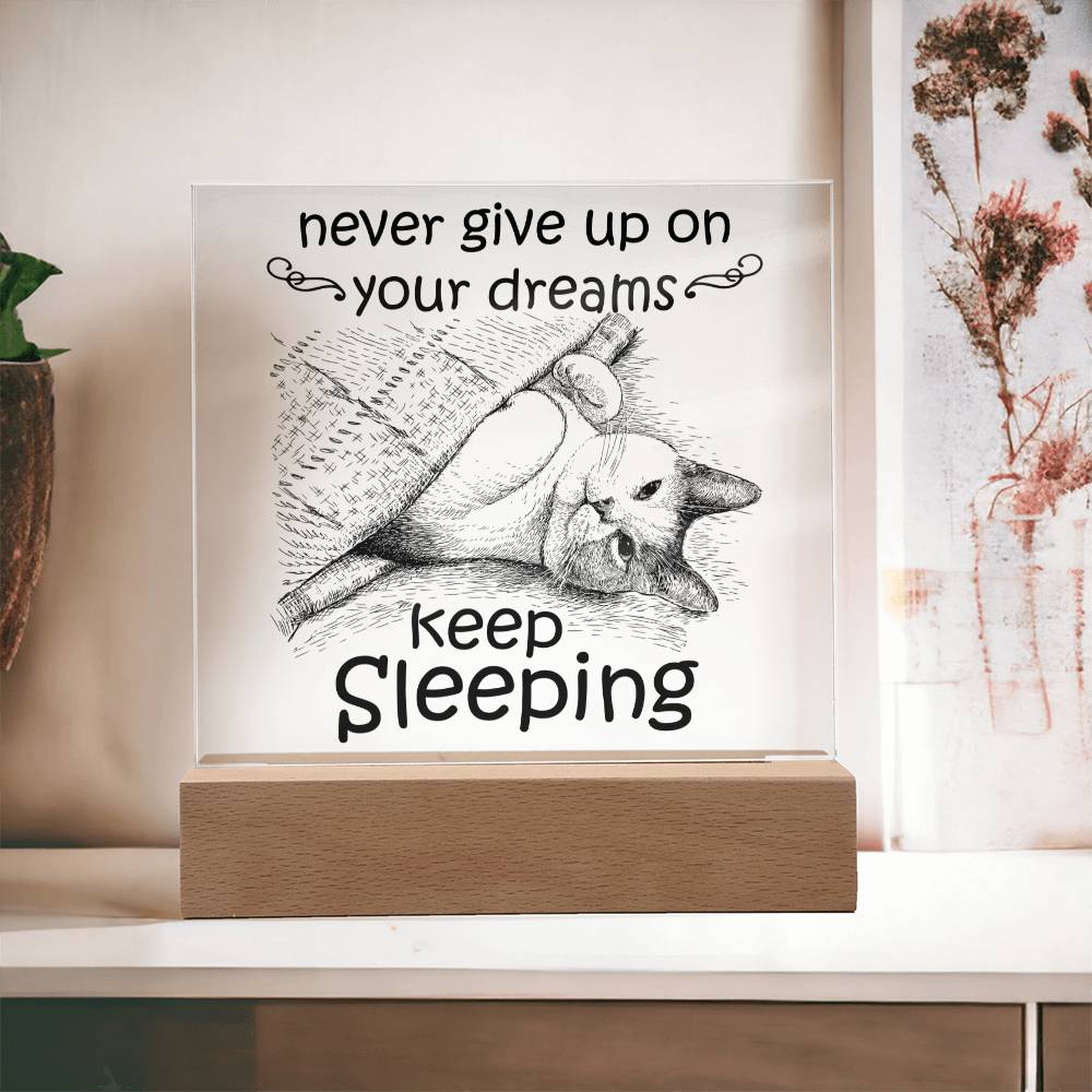 Daughter gifts - Never give up on your dreams Keep Sleeping - LED Acrylic Plaque.