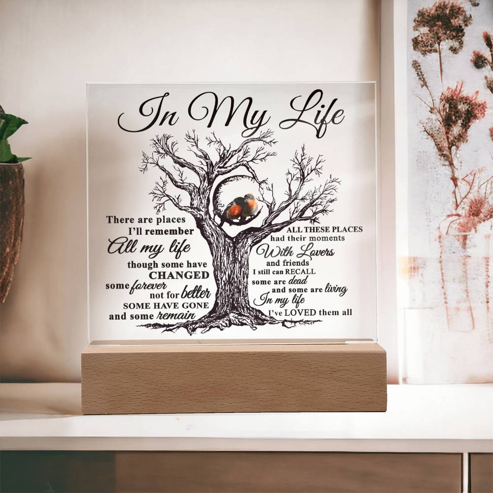 Mom gifts - In my Life Plaque - LED Acrylic Plaque.