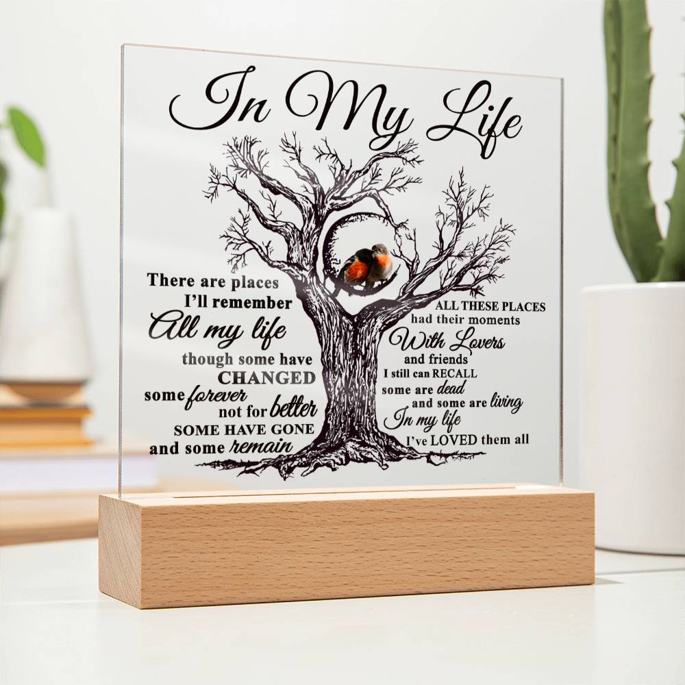 Mom gifts - In my Life Plaque - LED Acrylic Plaque.