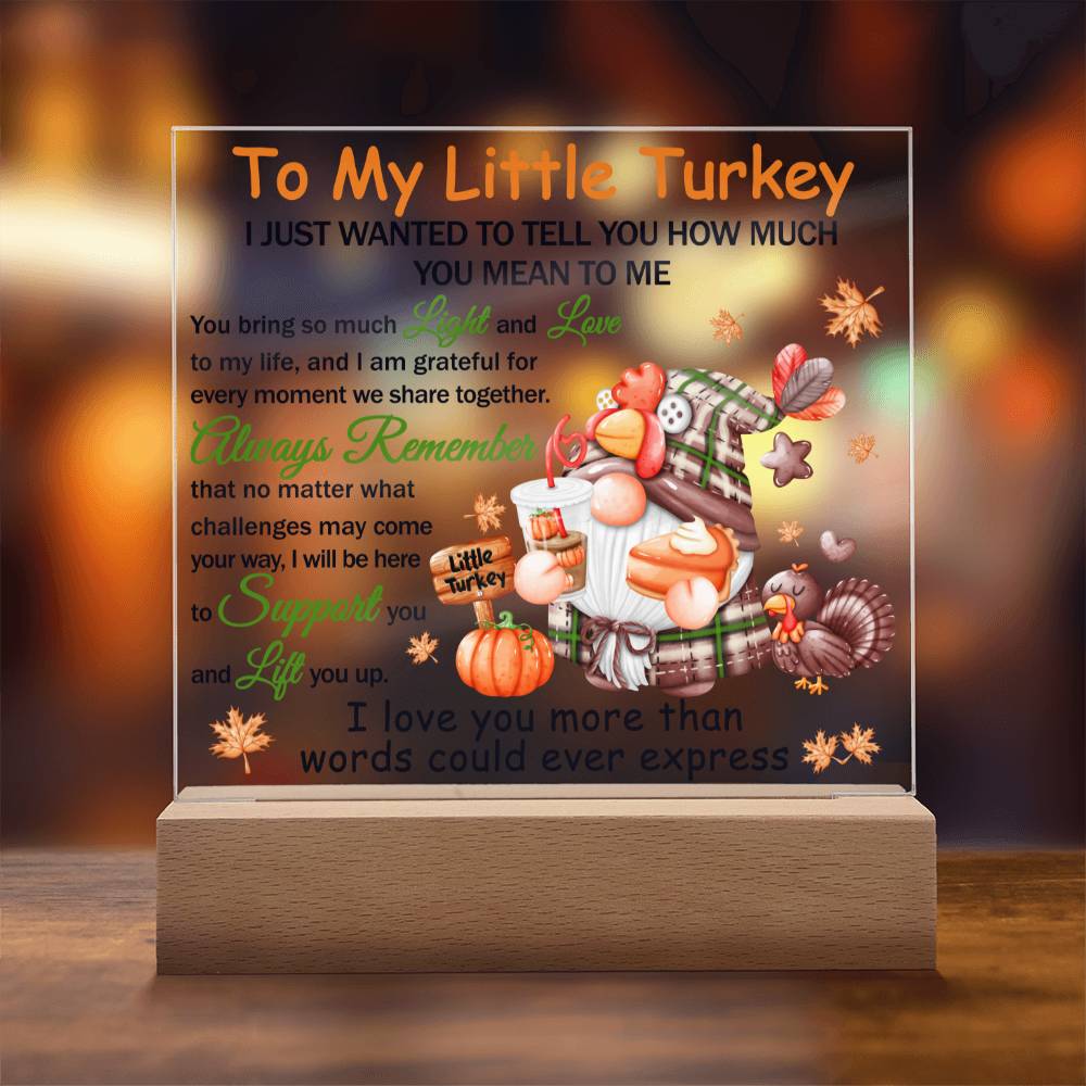 Daughter gifts - To my little turkey - LED Acrylic Plaque.