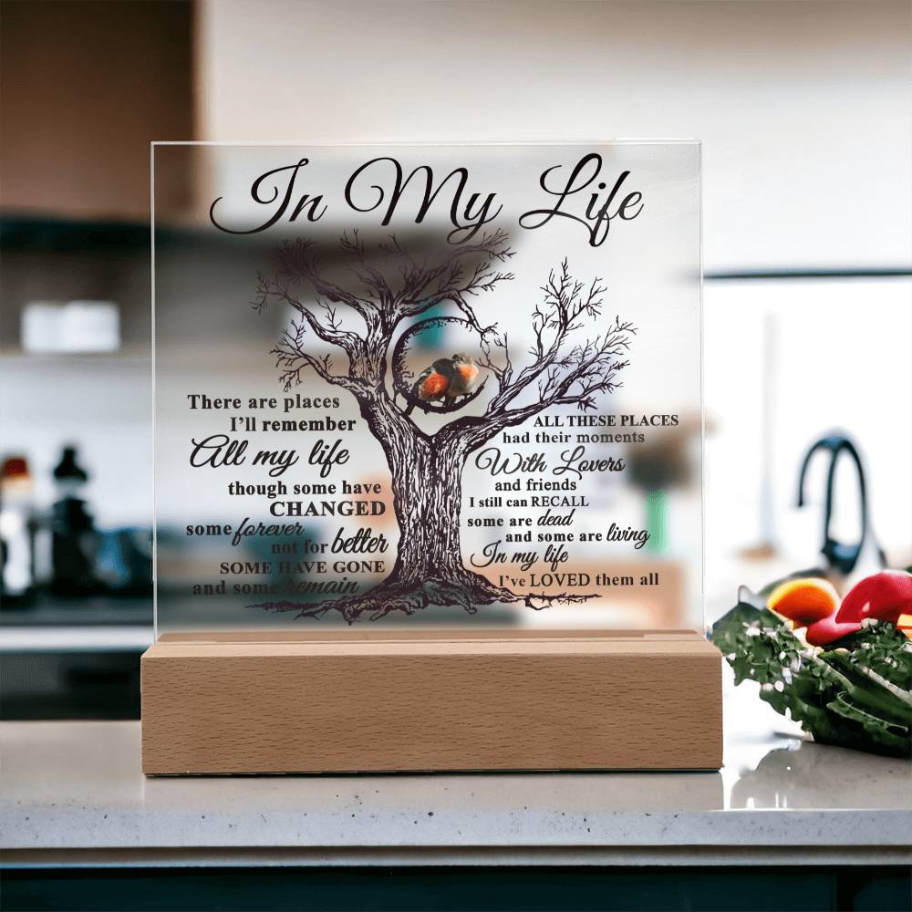 Mom gifts - In my Life Plaque - LED Acrylic Plaque.