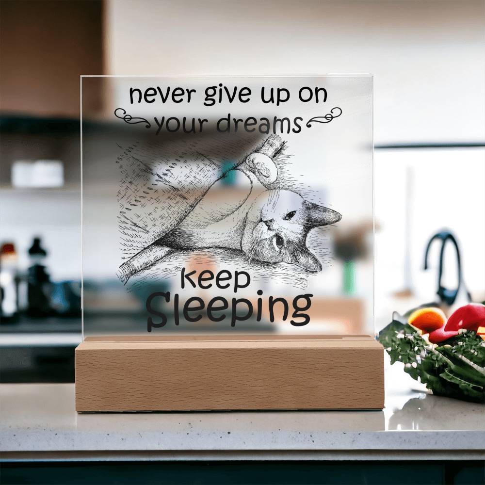 Daughter gifts - Never give up on your dreams Keep Sleeping - LED Acrylic Plaque.