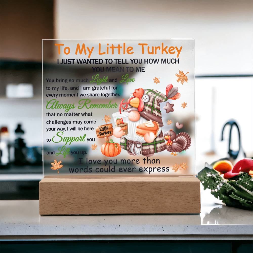 Daughter gifts - To my little turkey - LED Acrylic Plaque.