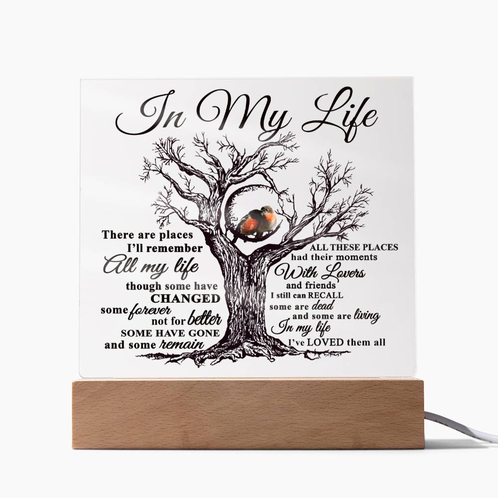 Mom gifts - In my Life Plaque - LED Acrylic Plaque.