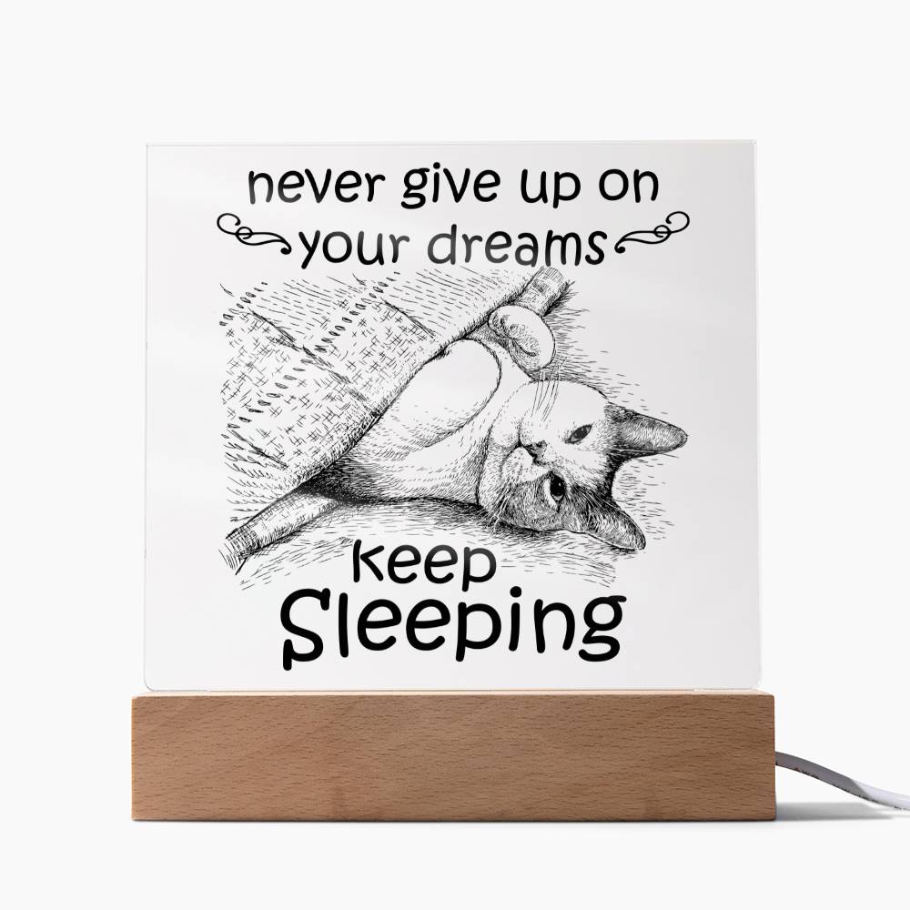 Daughter gifts - Never give up on your dreams, keep sleeping - LED Acrylic Plaque.