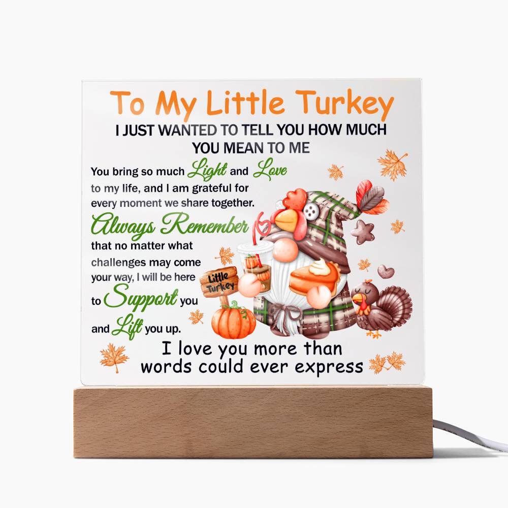 Daughter gifts - To my little turkey - LED Acrylic Plaque.