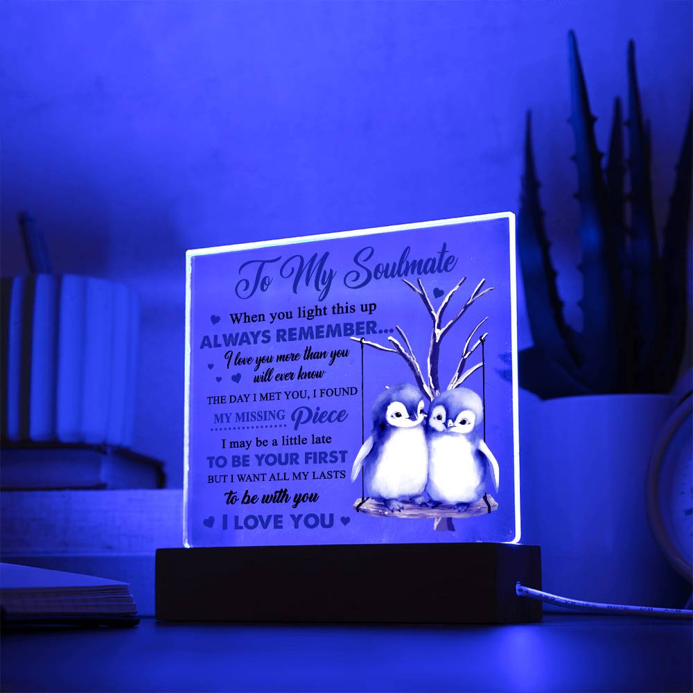 To My Soulmate - I love you more than you will ever know - LED Acrylic Plaque.