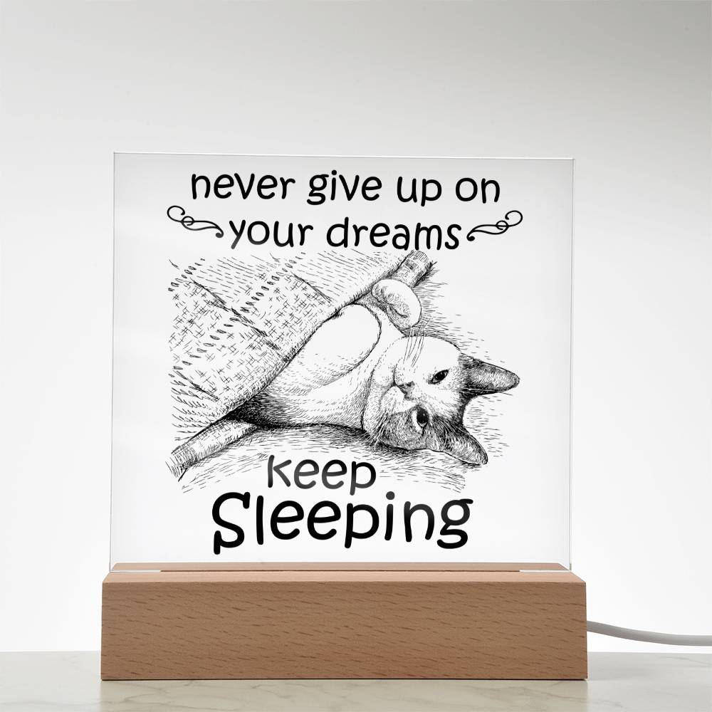 Daughter gifts - Never give up on your dreams, keep sleeping - LED Acrylic Plaque.