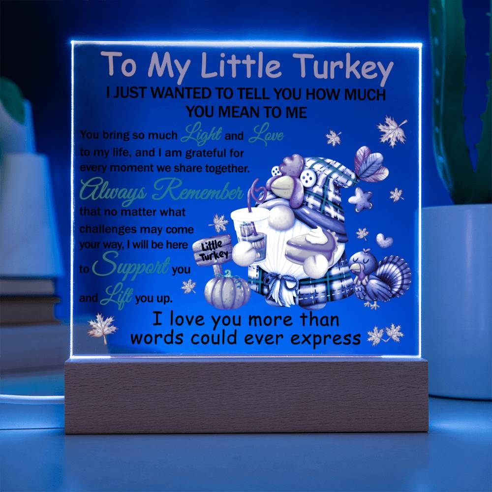 Daughter gifts - To my little turkey - LED Acrylic Plaque.