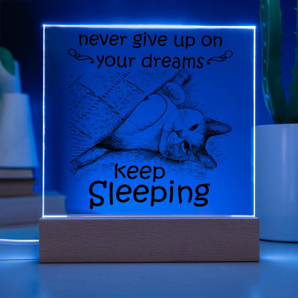 Daughter gifts - Never give up on your dreams Keep Sleeping - LED Acrylic Plaque.