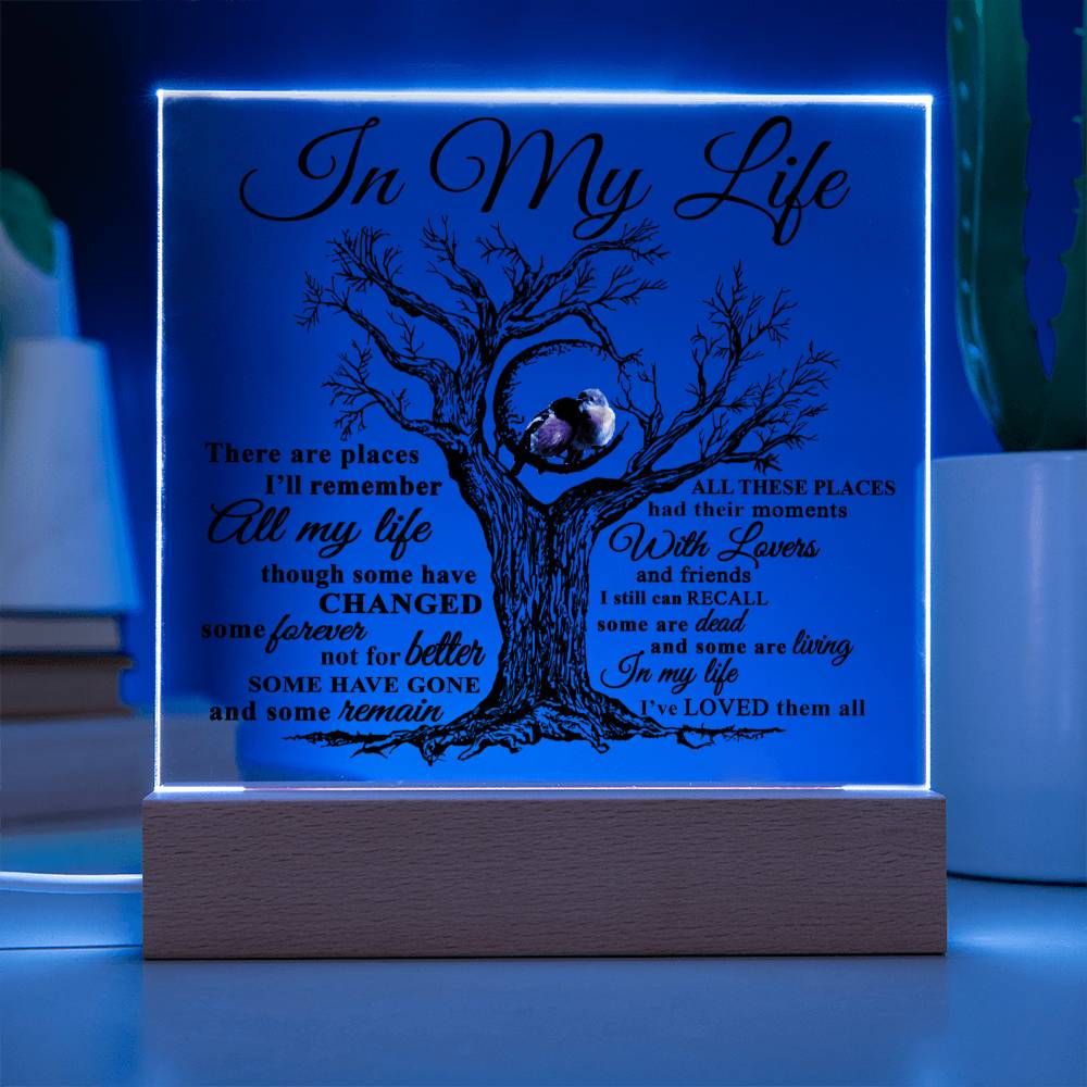 Mom gifts - In my Life Plaque - LED Acrylic Plaque.