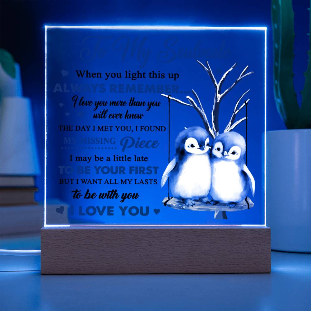 To My Soulmate - I love you more than you will ever know - LED Acrylic Plaque.