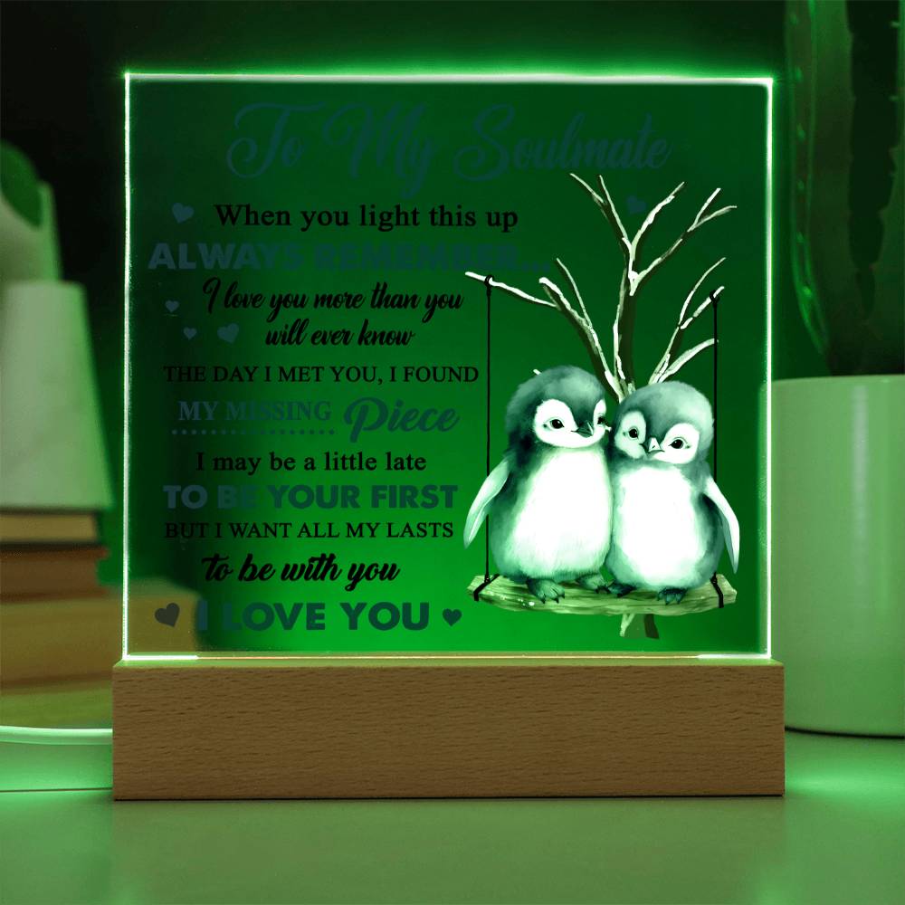 To My Soulmate - I love you more than you will ever know - LED Acrylic Plaque.