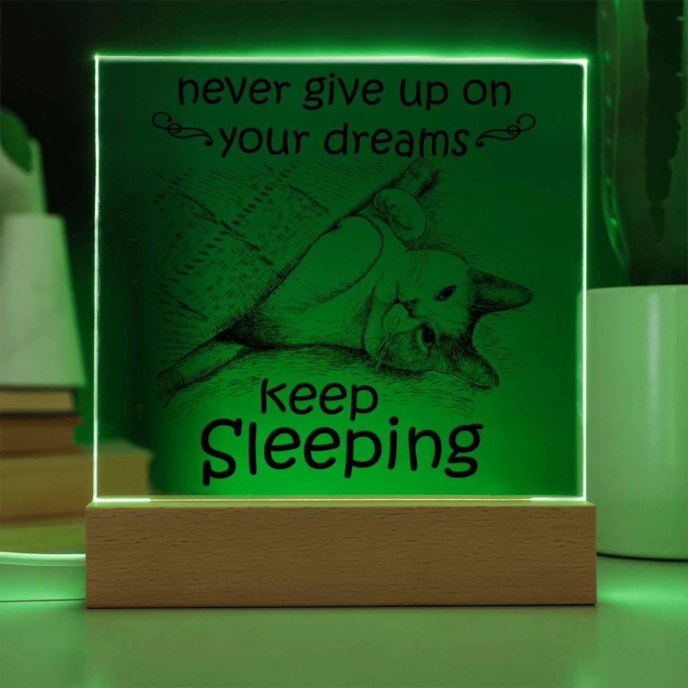 Daughter gifts - Never give up on your dreams Keep Sleeping - LED Acrylic Plaque.