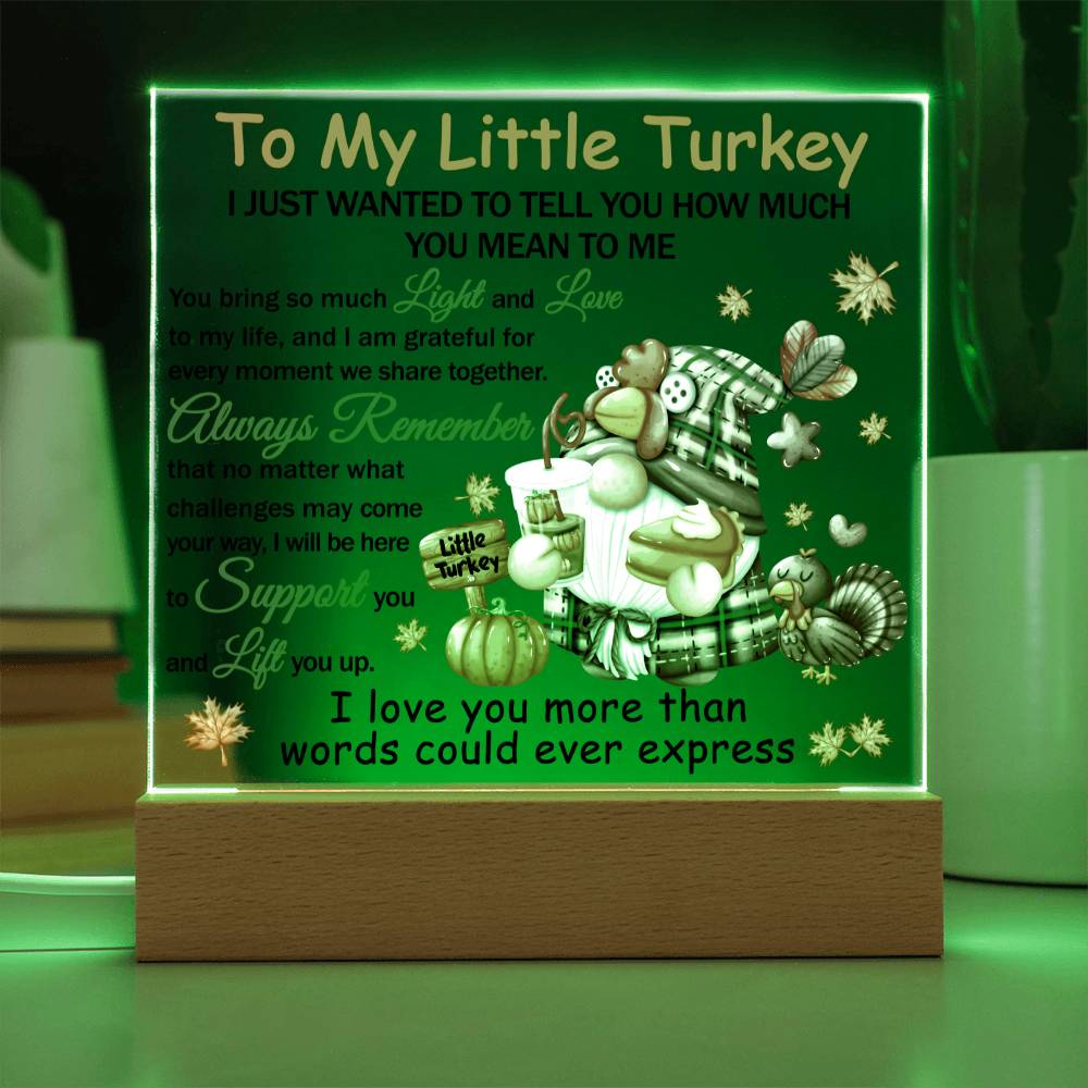 Daughter gifts - To my little turkey - LED Acrylic Plaque.