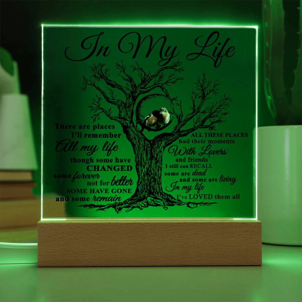 Mom gifts - In my Life Plaque - LED Acrylic Plaque.