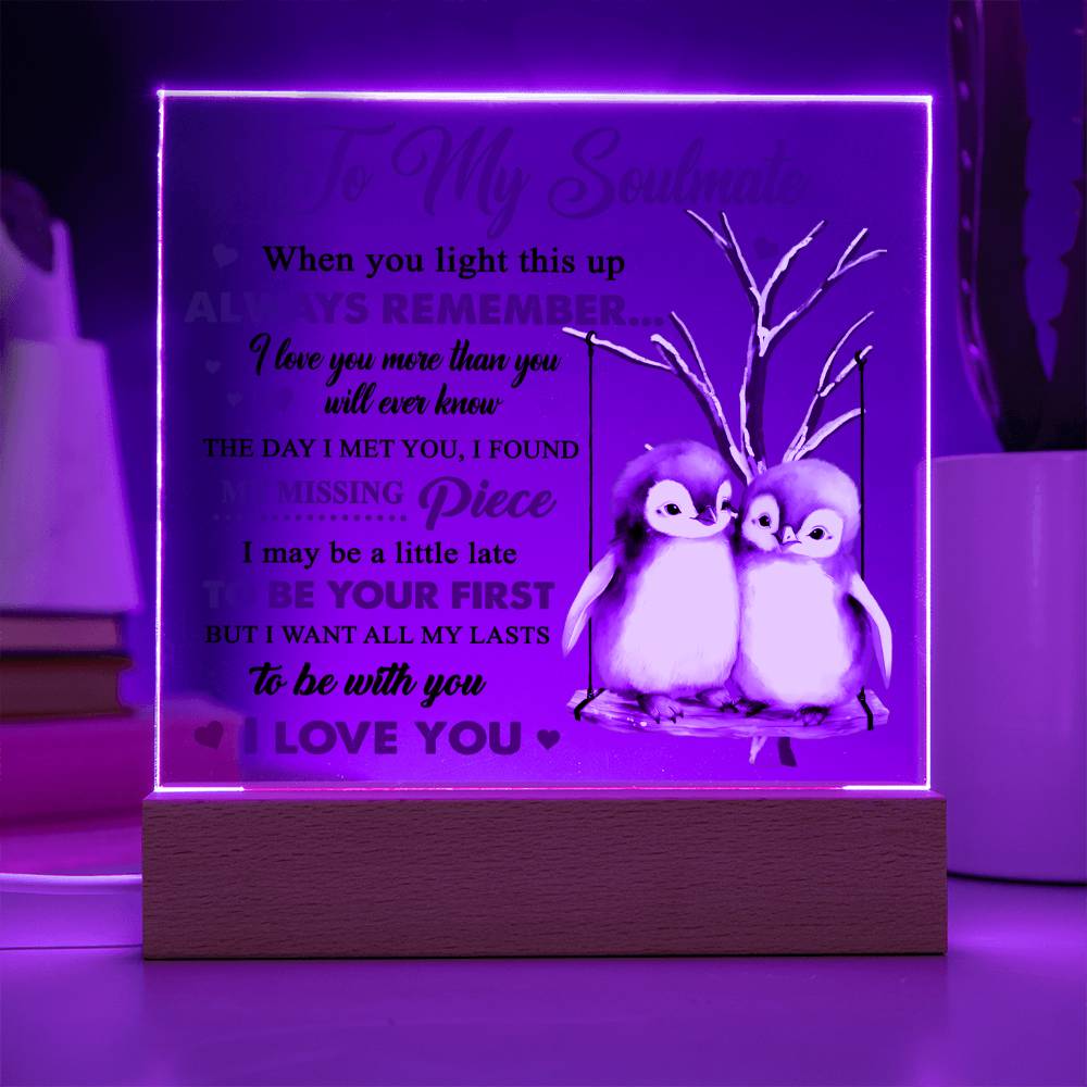 To My Soulmate - I love you more than you will ever know - LED Acrylic Plaque.