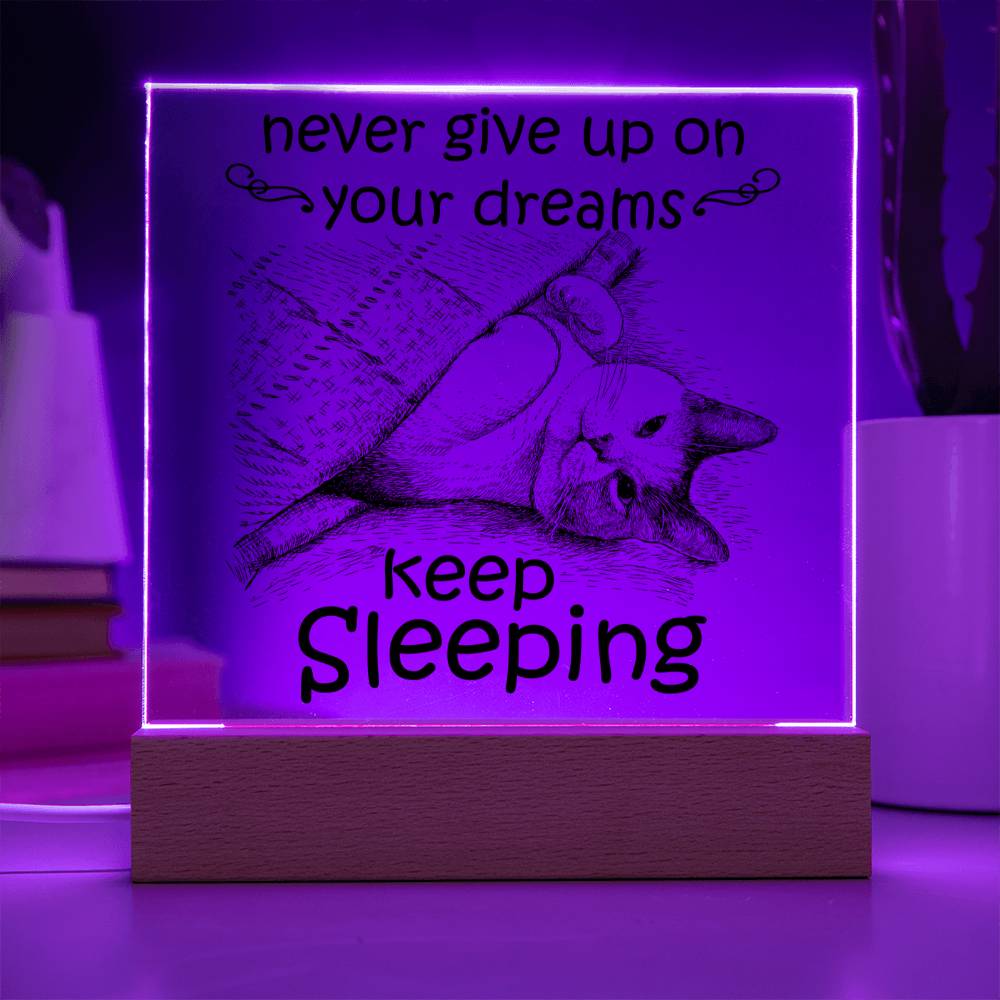 Daughter gifts - Never give up on your dreams Keep Sleeping - LED Acrylic Plaque.