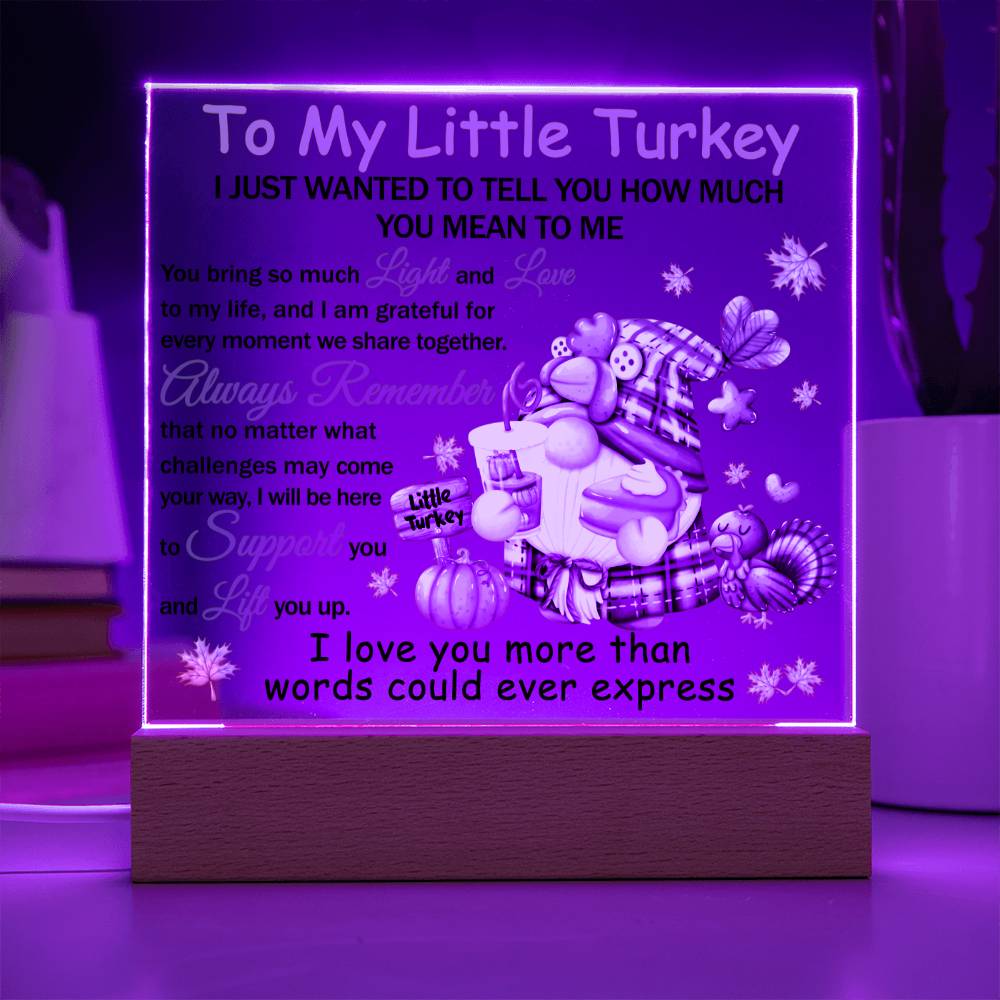 Daughter gifts - To my little turkey - LED Acrylic Plaque.