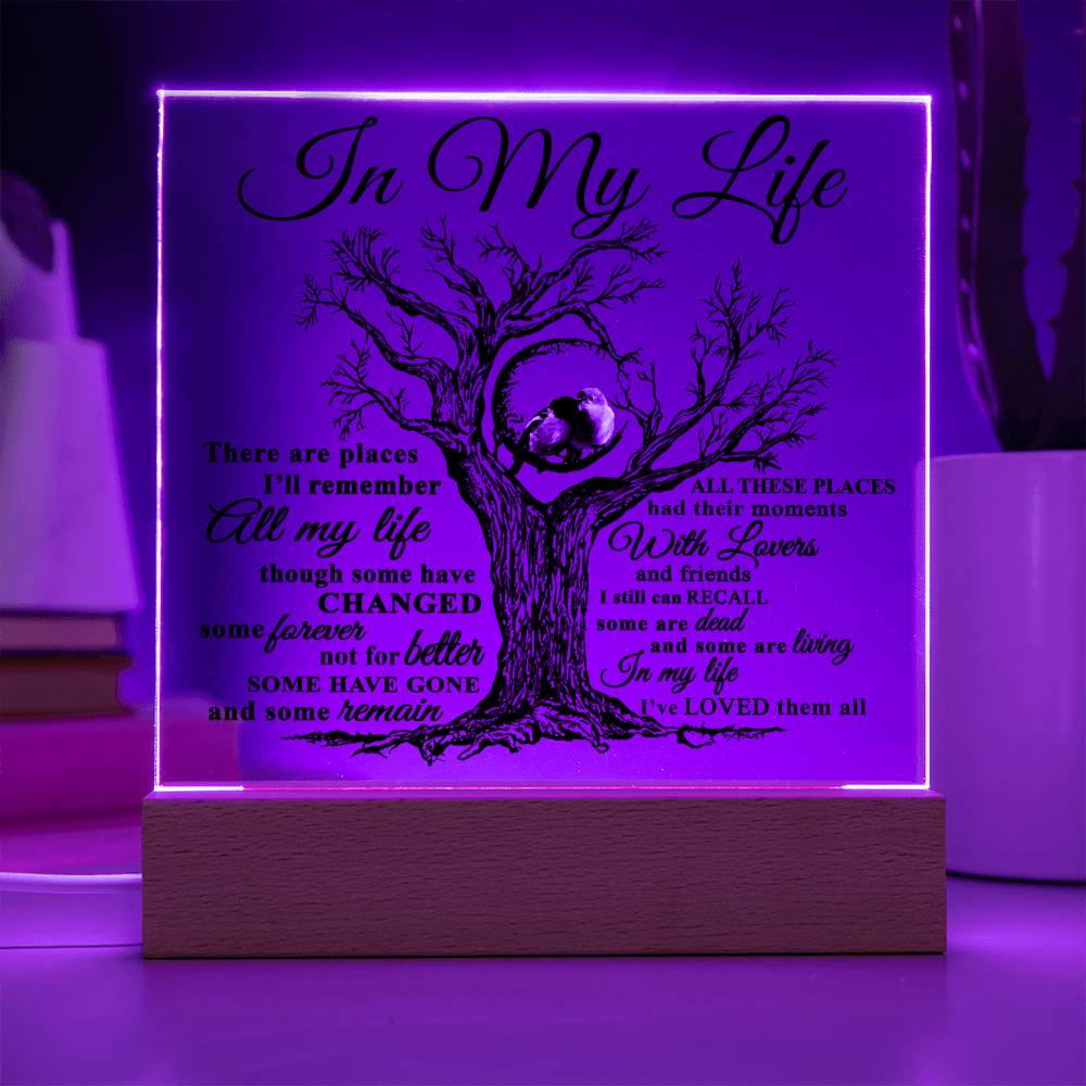 Mom gifts - In my Life Plaque - LED Acrylic Plaque.