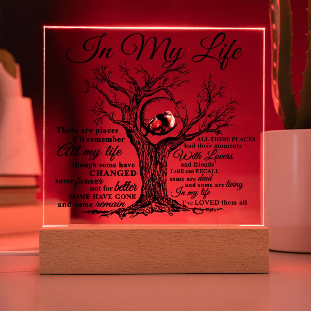 Mom gifts - In my Life Plaque - LED Acrylic Plaque.