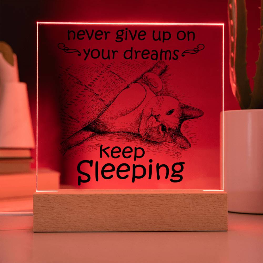 Daughter gifts - Never give up on your dreams, keep sleeping - LED Acrylic Plaque.