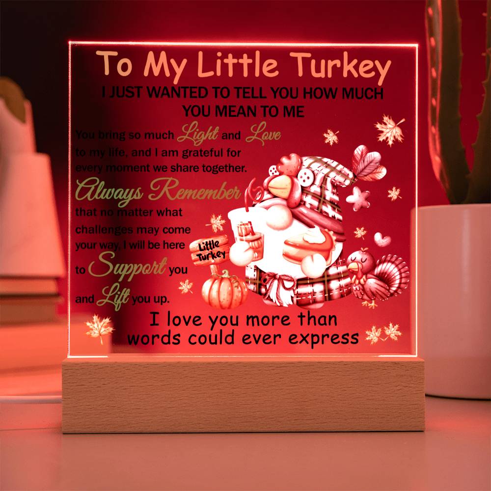 Daughter gifts - To my little turkey - LED Acrylic Plaque.