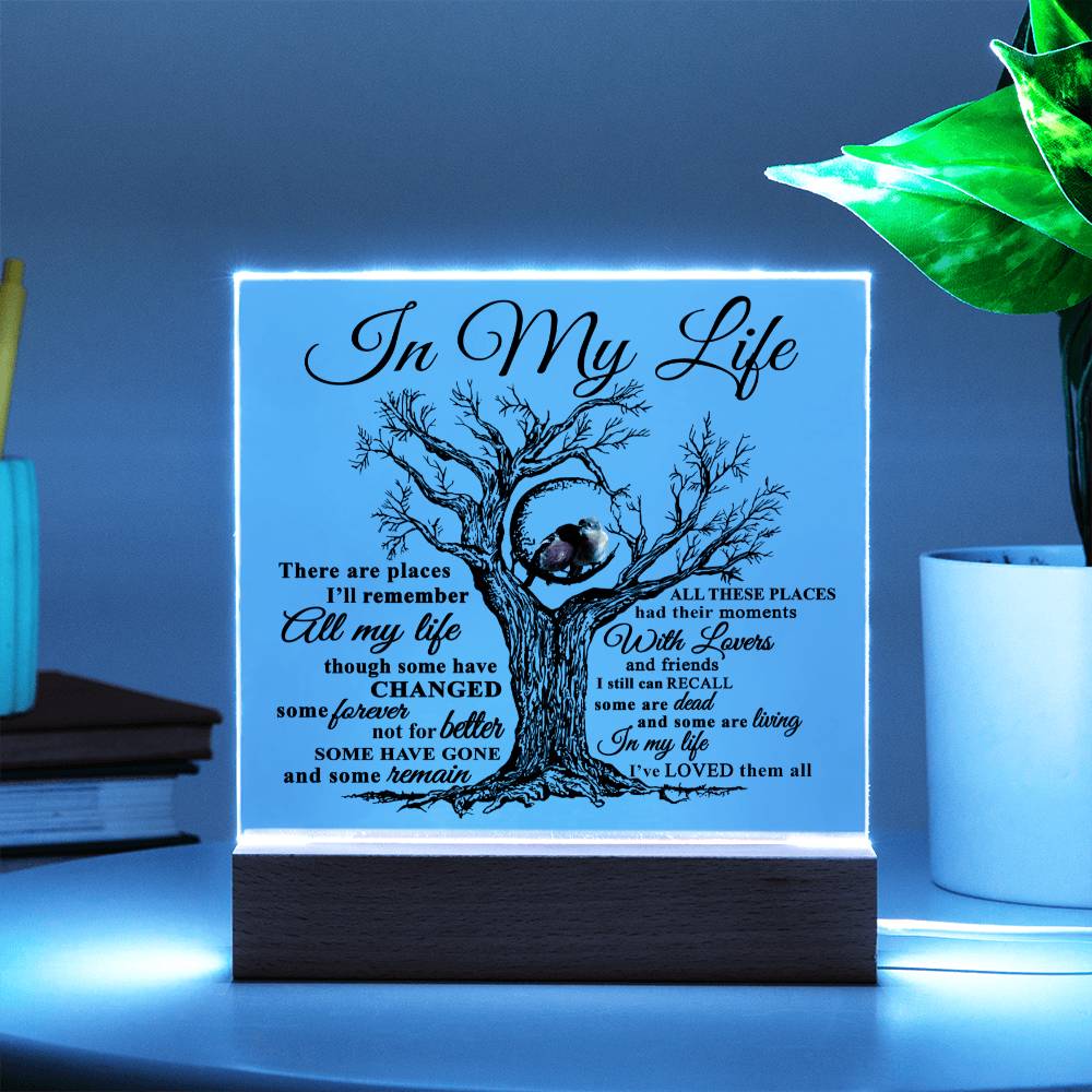 Mom gifts - In my Life Plaque - LED Acrylic Plaque.