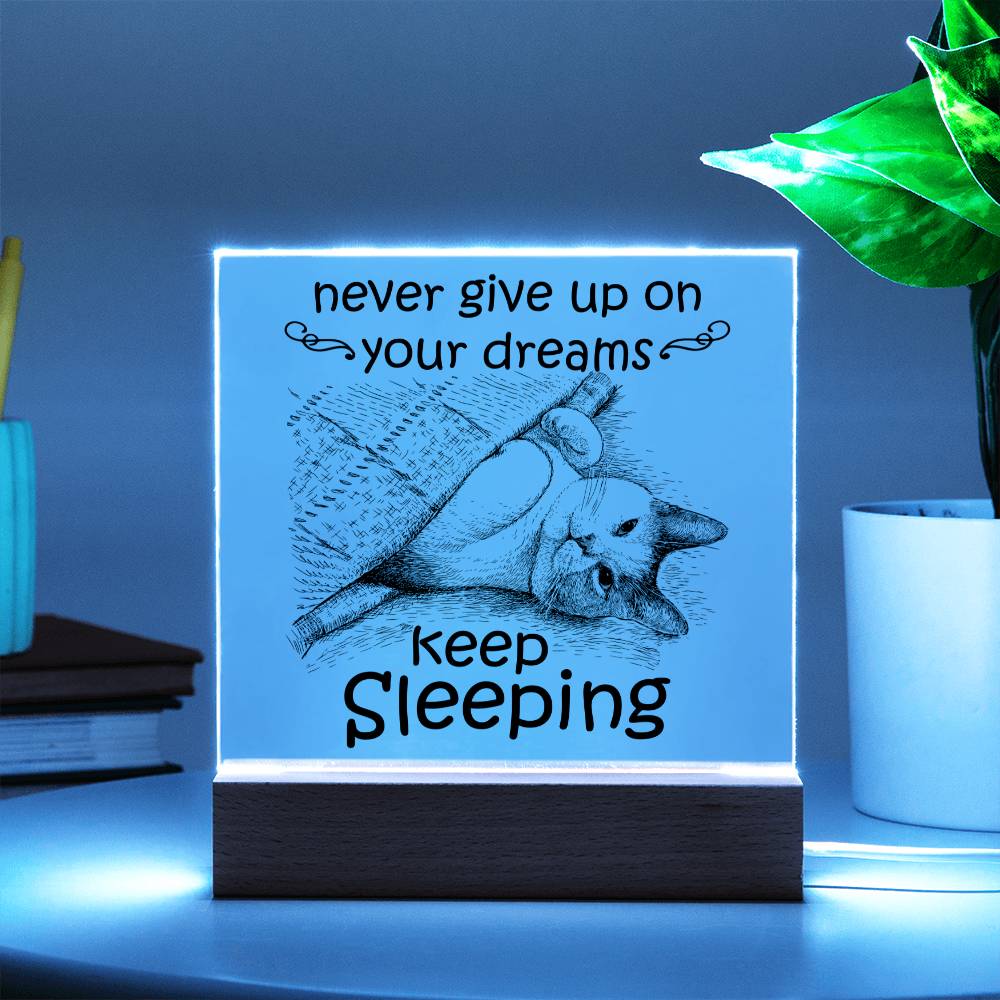 Daughter gifts - Never give up on your dreams Keep Sleeping - LED Acrylic Plaque.