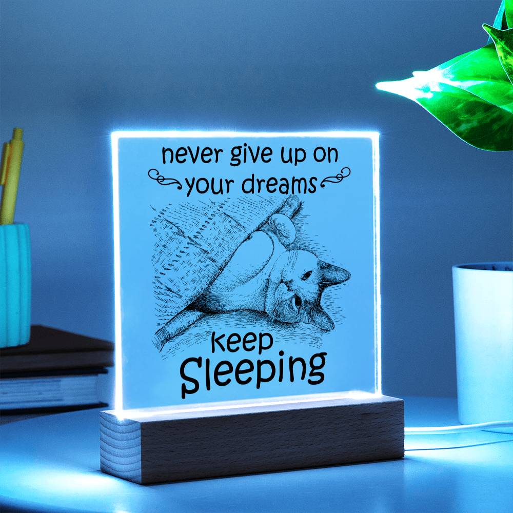 Daughter gifts - Never give up on your dreams Keep Sleeping - LED Acrylic Plaque.