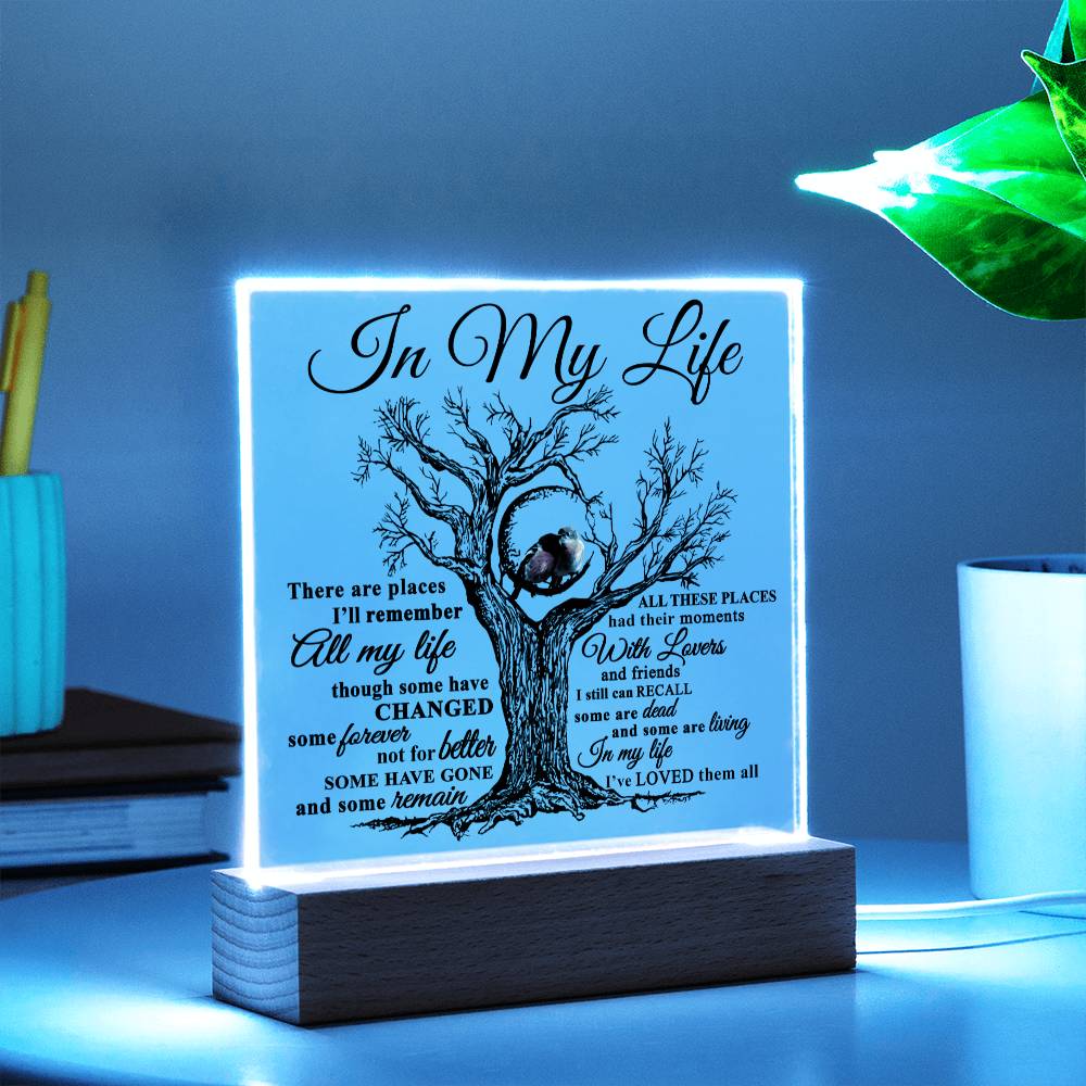 Mom gifts - In my Life Plaque - LED Acrylic Plaque.